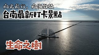 台南最新打卡景點｜ 「生命之樹」｜「向光前行，向海致敬」｜ Taiwan ｜台灣空拍 ｜ 4K｜台湾の美｜drone ｜