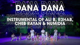 Now United - Dana Dana (Acapella Show + Instrumental of Ali B, R3HAB, Cheb Rayan & Numidia)