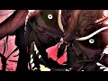 Raian vs Robinson - Kengan Ashura AMV ~ Blood Water
