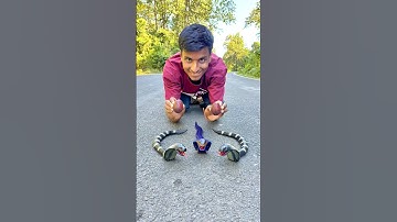 Afstandsbediening 1 Ta Snake 🐍 vs. 2 Ta King Cobra 😱 | Volledige actietest Dekho 🤪🔥