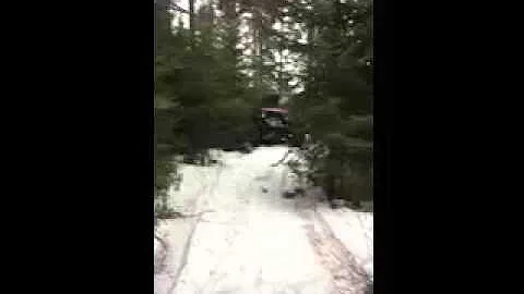 Jeep in the woods