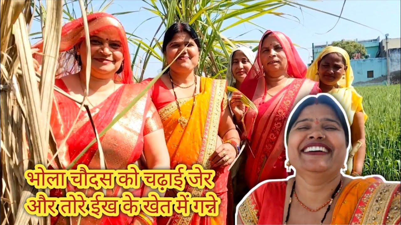 भोला चौदस को चढ़ाई जेर और तोरे ईख के खेत में गन्ने || comedy videos|| rukmani mata rani kirtan|| 