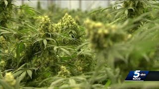 Oklahoma AG says 3 men indicted in illegal medical marijuana conspiracy