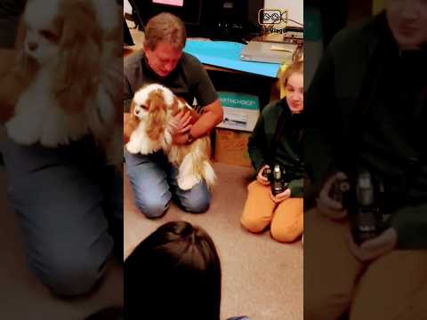 | Teacher brings Dog to School |❣| Olympic View Middle School USA |