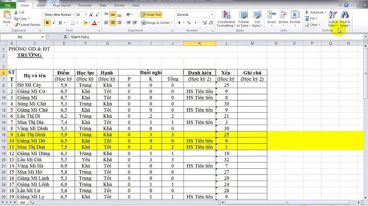 Hướng dẫn lọc dữ liệu trong excel 2010