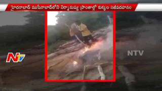 5 Boys Arrested For Throwing Puppies Into Fire in Musheerabad || NTV