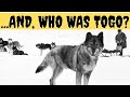 And who was togo the sled dog in real life