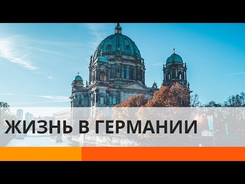 Видео: Где водятся кермесы?