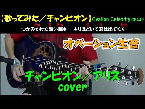 チャンピオン／アリス cover アコギ弾き語り【歌詞・コード付き】