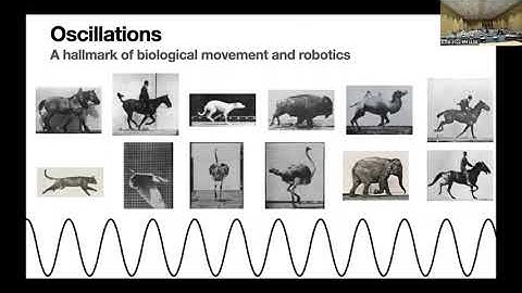 Nick Gravish--Synchronizing swarms and flapping-wing flyers