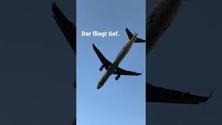 Der Fliegt Tief.