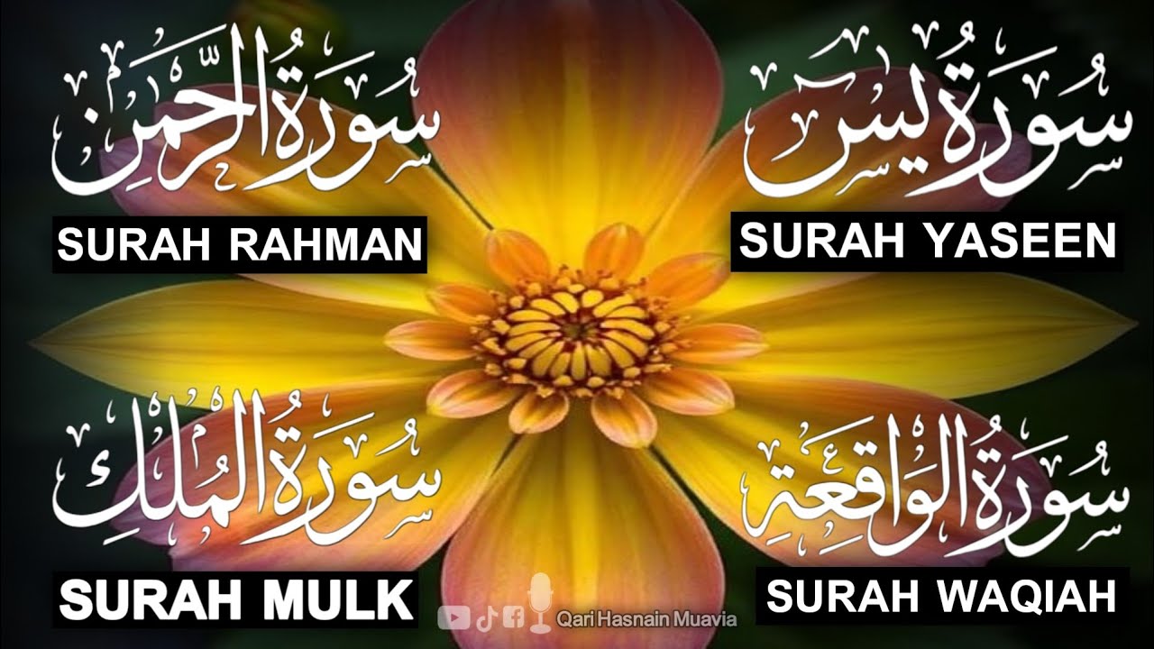 Surah Yasin ❤️ (Makki), Rahman, Waqiah & Mulk | Ep 351 | Daily Quran Recitation & Blessings