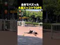 ㊗️20万再生！全米でバズった 大胆ズッコケTOP5
