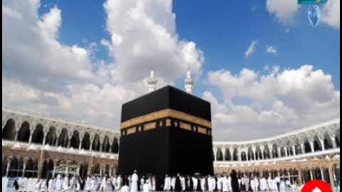 سورة "الفيل" لهلاك العدو الظالم الساحر مكرره 100مره والانتقام ممن ظلمك حسبنا الله ونعم الوكيل 🙏