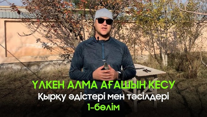 Ерлі-зайыптылар мен қыз жыныстық қатынас