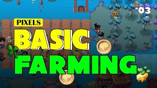 Farming ගැන සේරම විස්තර | Pixels Basic Farming | Web3 Game | Pixels Sinhala