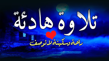 تلاوة هادئة تريح الاعصاب 🎶 صوت هادئ للنوم(ازح هموم قلبك)تلاوة للنوم💤راحة نفسية لا توصف💚