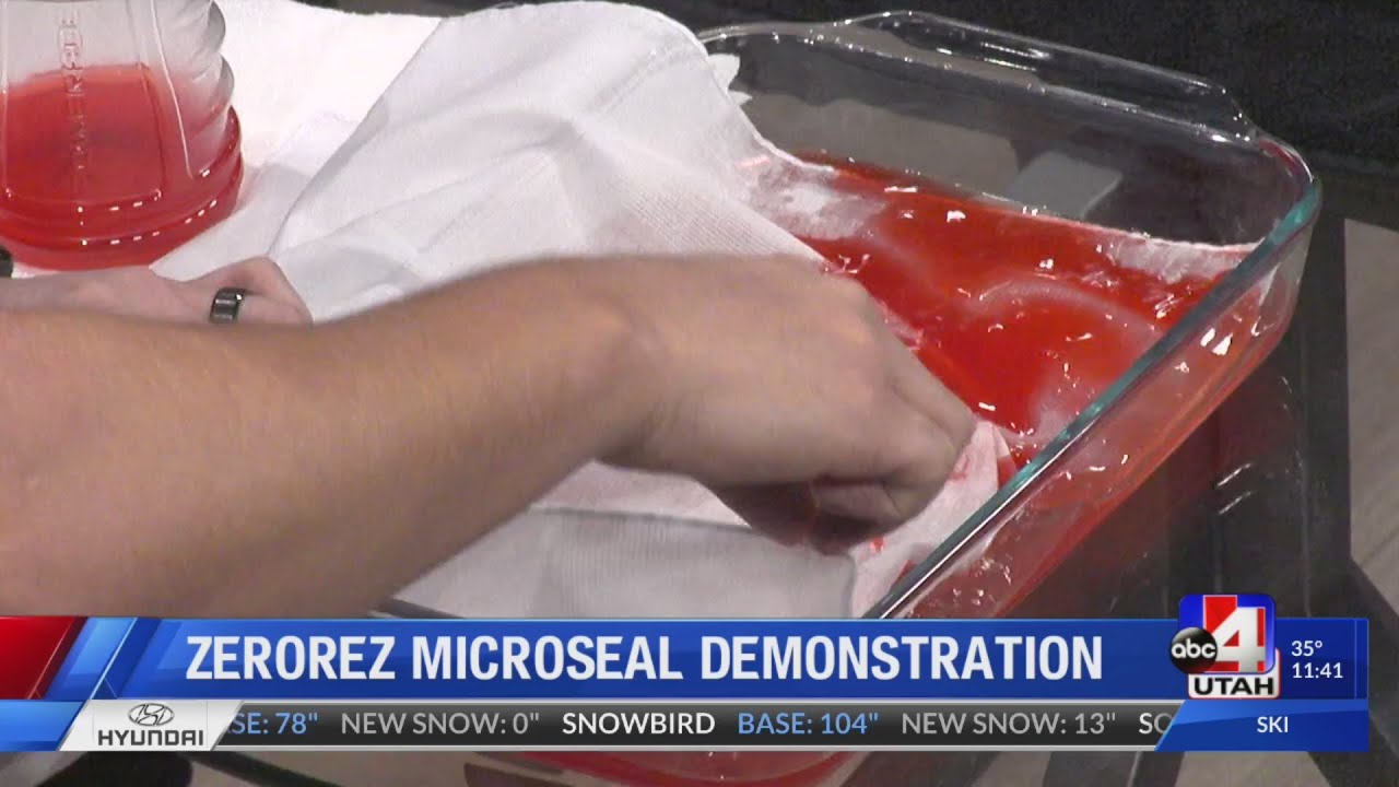 Saving your carpets from stains with Zerorez