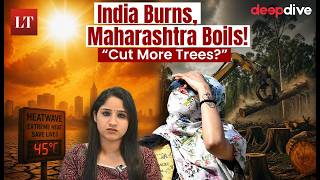India’s Heat Crisis: El Niño, Tree Cutting, And the Rising Danger | Explained