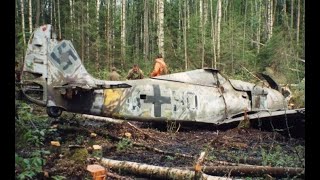 Wulf in the Woods - The Most Incredible WW2 Relic Ever!