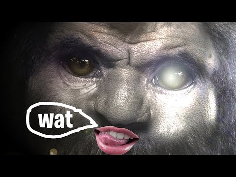 Video: Bigfoot-pussel. Forskare är Säkra: Videon Med Bigfoot är Inte En Falsk - Alternativ Vy
