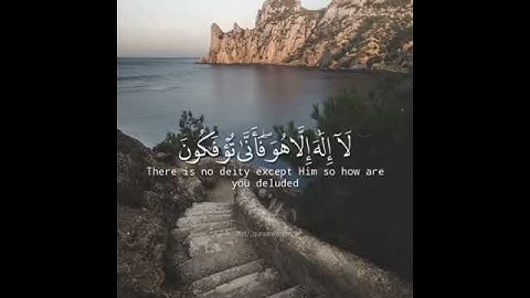 تلاوة تفوق الوصف القارئ الشيخ هزاع البلوشي