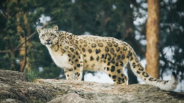 React Native Performance Tools