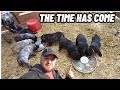 4 Week Old Puppies Surprised Me | It Was Just A Matter Of Time Before This Happened!