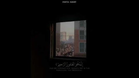 قَالَ رَبِّ إِنِّي ظَلَمْتُ نَفْسِي فَاغْفِرْ لِي - حالات واتس اب دينية - سورة القصص | رعد الكردي