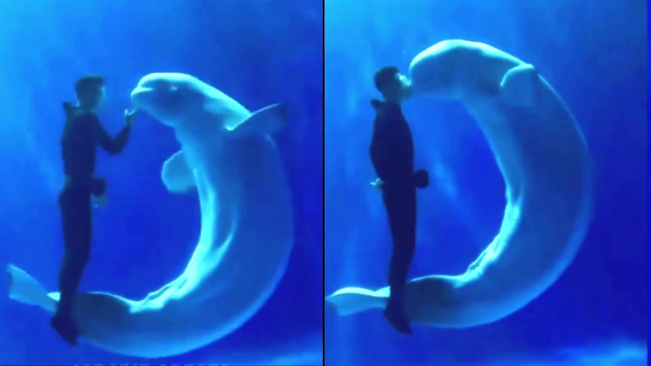 Totally Random | Incredible Moments - YouTube