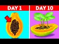 GROW YOUR SEEDS || Garden Hacks