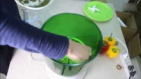 Thermostat Green Seeds Growing Automatic Bean Sprout Machine | snack feed