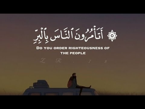 سورة البقرة القارئ عمير شميم