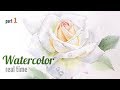 Drawing a White Rose Watercolor. Real-Time Video, part 1