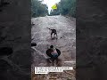 Cópia de ” para queimar celular da filha e reação dramática da jovem chama atenção nas redes!!