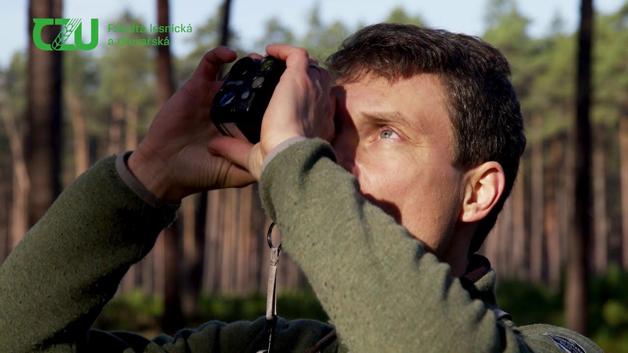 Pěstování lesů - od semínka ke stromu, od stromu k lesnímu ekosystému