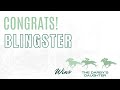 2025 Darby's Daughter Stakes - Blingster