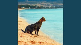 Serene Coastal Cat Harmony