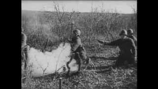Оборона Севастополя /Siege of Sevastopol Оборона Севастополя /Siege of Sevastopol