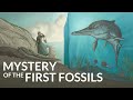 What is the oldest fossil on earth