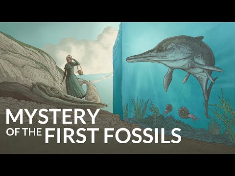 Video: I vilken tid uppstod fossiler först?