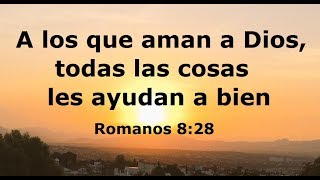 TODO OBRA PARA BIEN ¡ LIBRO DE ROMANOS 8:28! TODO OBRA PARA BIEN ¡ LIBRO DE ROMANOS 8:28!