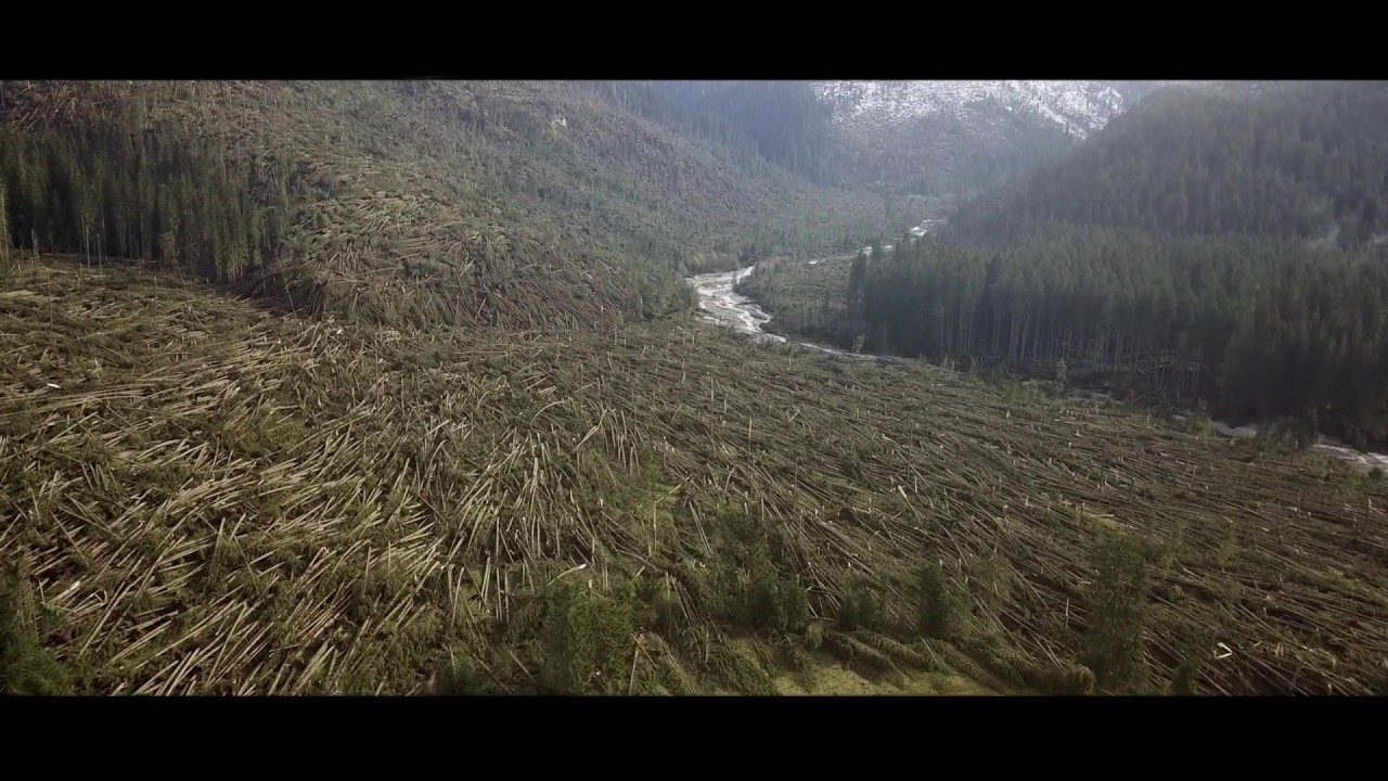 Val Visdende - 29 Ottobre 2018