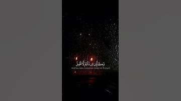 الذين صبروا وعلى ربهم يتوكلون تلاوة خاشعة القارئ عبدالرحمن مسعد راحه نفسيه #عبدالرحمن_مسعد #قرآن