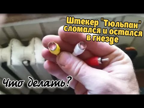 Как вытащить обломанный тюльпан