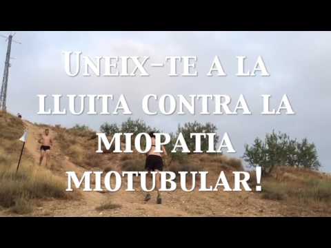 Fita Alta Madness video phone lyrics