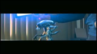 Alien, blackmagic anamorphic test