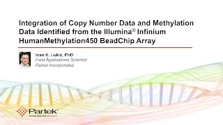 Integration of Copy Number and Methylation Data from the Infinium HumanMethylation450 BeadChip