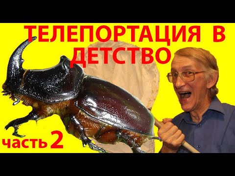 Насекомое в Детстве. ЧАСТЬ-2. Коллекция и Ловушки для Насекомых. Сотрудничество в Энтомологии.