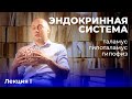 Эндокринная система. Лекция первая.